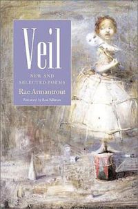 Cover image for Veil