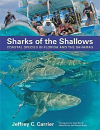 Cover image for Sharks of the Shallows: Coastal Species in Florida and the Bahamas