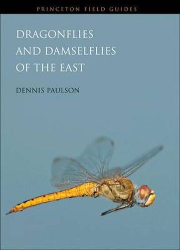 Cover image for Dragonflies and Damselflies of the East