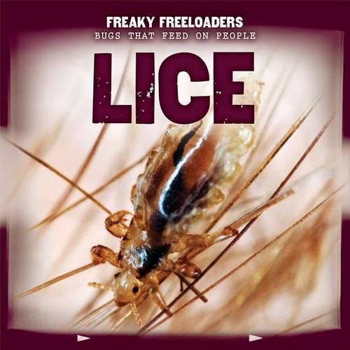 Cover image for Lice