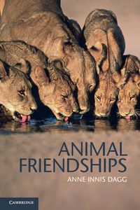 Cover image for Animal Friendships