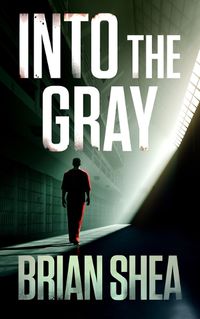 Cover image for Into the Gray