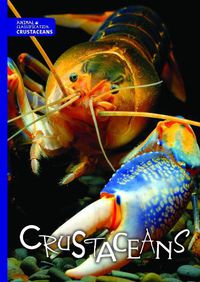 Cover image for Crustaceans