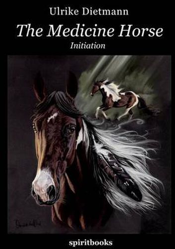 Cover image for The Medicine Horse