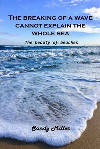 Cover image for The breaking of a wave cannot explain the whole sea