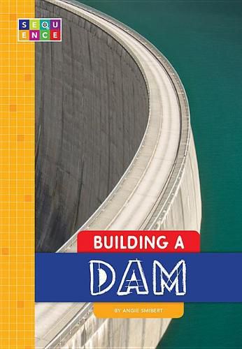 Cover image for Building a Dam