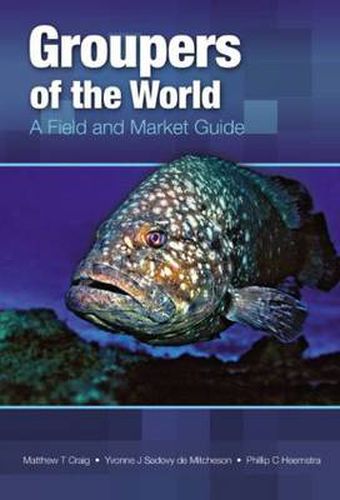 Cover image for Groupers of the World: A Field and Market Guide