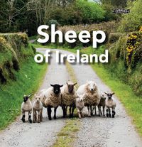 Cover image for Sheep of Ireland