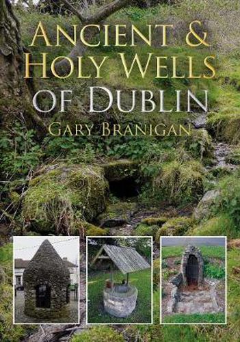 Cover image for Ancient and Holy Wells of Dublin