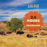 Cover image for 24 Hours in a Grassland