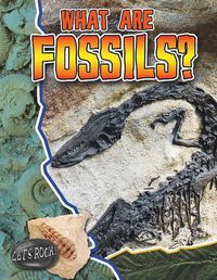 Cover image for What Are Fossils?