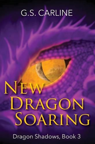 Cover image for New Dragon Soaring: Dragon Shadows Book 3