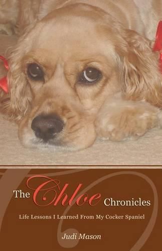 Cover image for The Chloe Chronicles: Life Lessons I Learned From My Cocker Spaniel