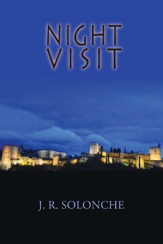 Cover image for Night Visit