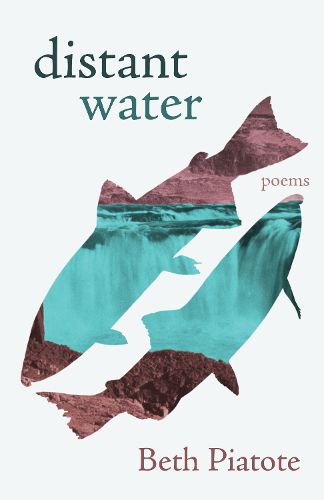 Cover image for distant water