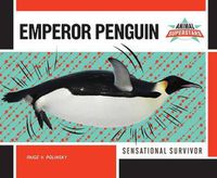 Cover image for Emperor Penguin: Sensational Survivor