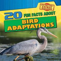 Cover image for 20 Fun Facts about Bird Adaptations