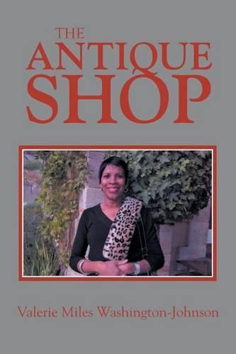 Cover image for The Antique Shop