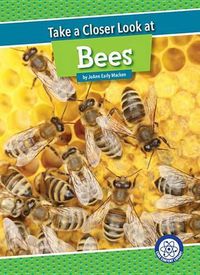 Cover image for Take a Closer Look at Bees