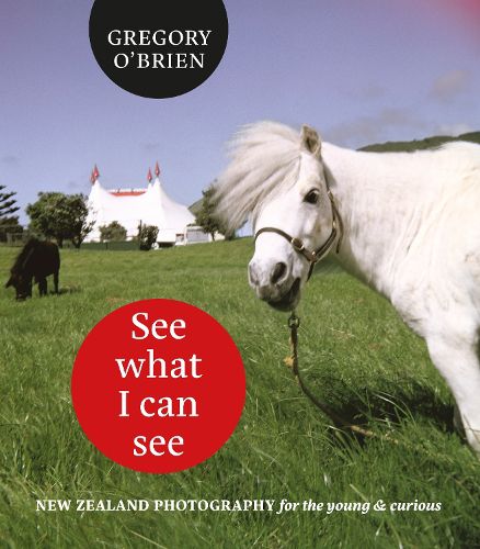 Cover image for See What I can See