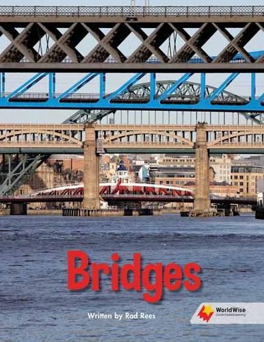 Cover image for Bridges