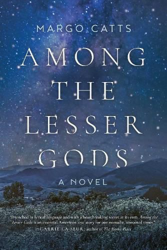 Cover image for Among the Lesser Gods: A Novel