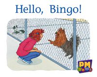 Cover image for Hello, Bingo!