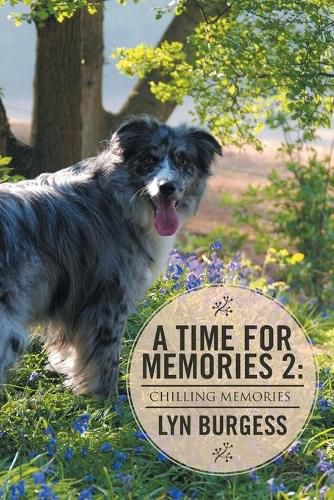 Cover image for A Time For Memories 2: Chilling Memories