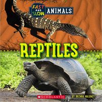 Cover image for Fast and Slow: Reptiles (Wild World)