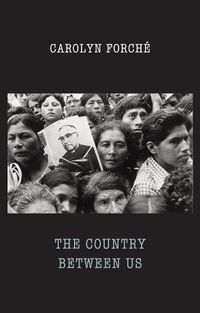 Cover image for The Country Between Us