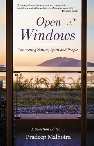 Cover image for Open Windows