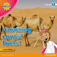 Cover image for My Gulf World and Me Level 3 non-fiction reader: Amazing camel facts!