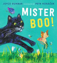Cover image for Mister Boo!