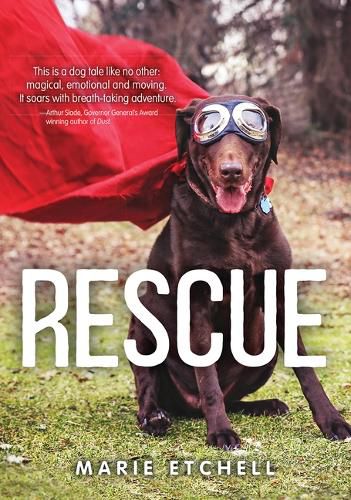 Cover image for Rescue