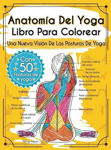 Cover image for Anatomia Del Yoga Libro Para Colorear: Una Nueva Vision De Las Posturas De Yoga