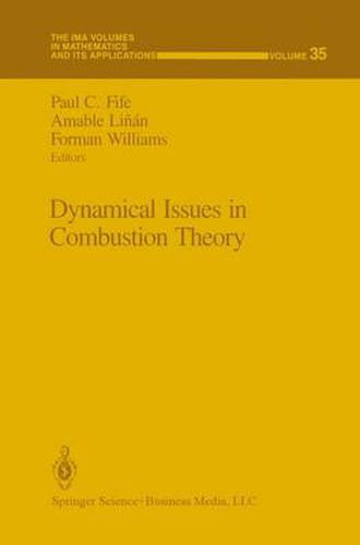 Cover image for Dynamical Issues in Combustion Theory