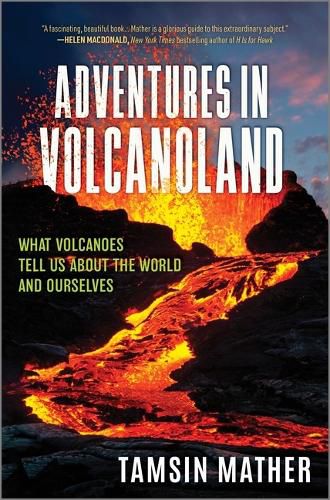 Cover image for Adventures in Volcanoland