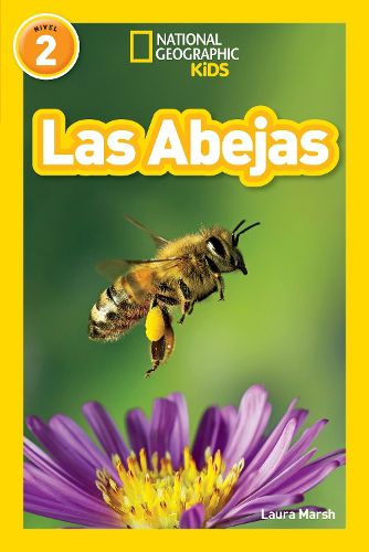 Cover image for Las Abejas (L2)