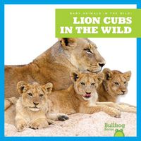 Cover image for Lion Cubs in the Wild