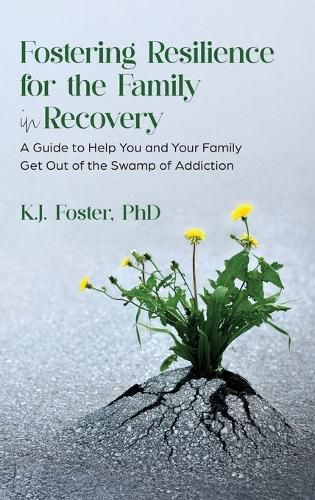 Cover image for Fostering Resilience for the Family in Recovery