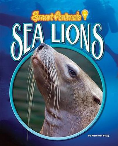 Cover image for Sea Lions