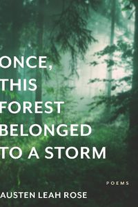 Cover image for Once, This Forest Belonged to a Storm