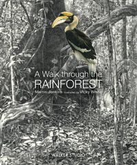Cover image for A Walk Through the Rainforest