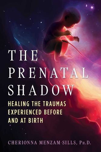 Cover image for The Prenatal Shadow