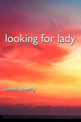 Cover image for Looking for Lady