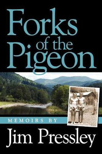 Cover image for Forks of the Pigeon