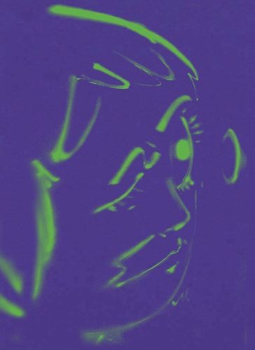 Cover image for Hoda Kashiha: Slipping on Fragmented Shapes