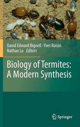 Cover image for Biology of Termites: a Modern Synthesis