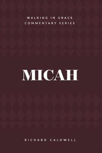 Cover image for Micah: Who Is Like God?