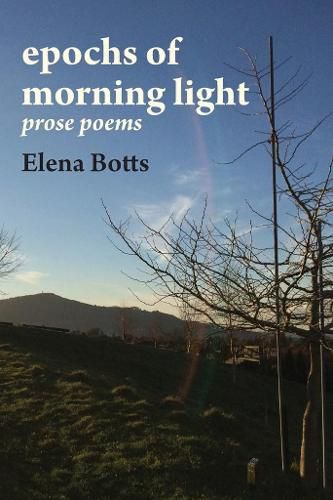 Cover image for epochs of morning light: prose poems